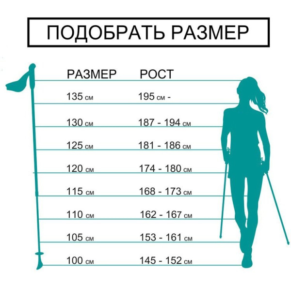 Палки для скандинавской ходьбы EXTREME 100